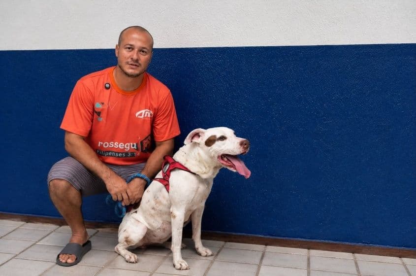 Zeus foi um dos primeiros pets atendidos pelo HC Pet em uma situação de urgência. Foto: Ascom Sebema