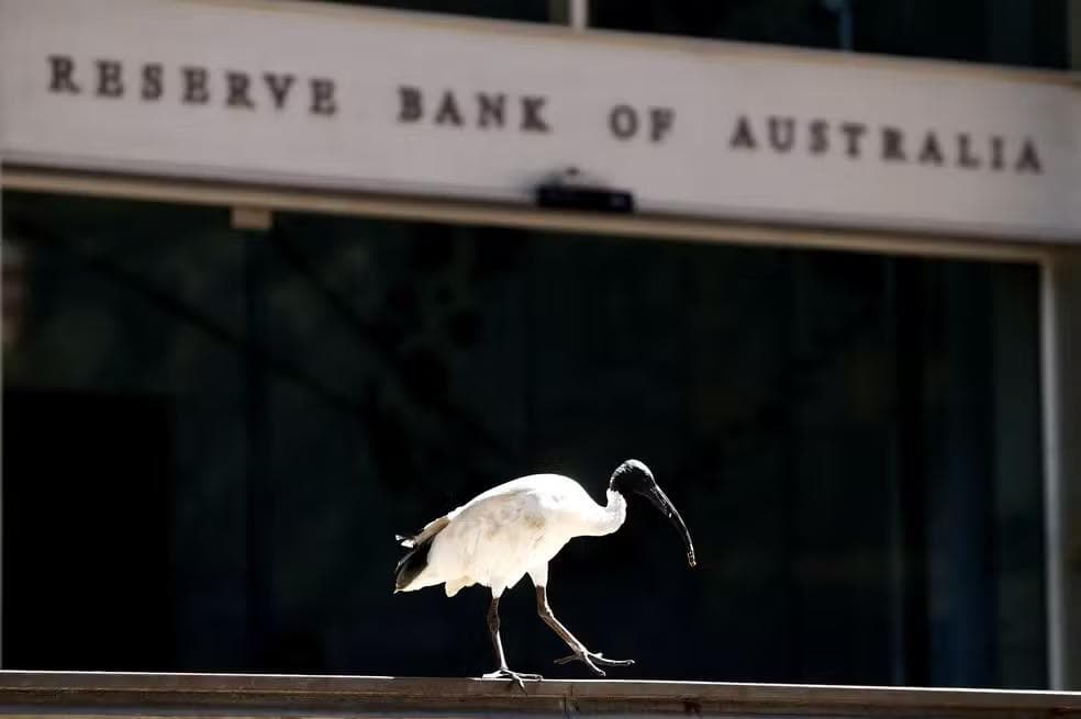 Um íbis empoleirado ao lado da sede do Banco da Reserva da Austrália , no centro de Sydney, Austrália — Foto: Daniel Munoz / Reuters
