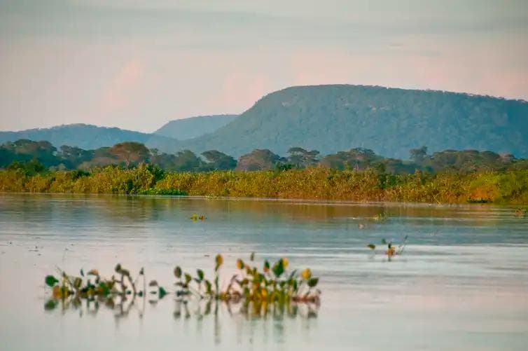 Parque Nacional do Pantanal - Foto: Palê Zuppani/ICMbio