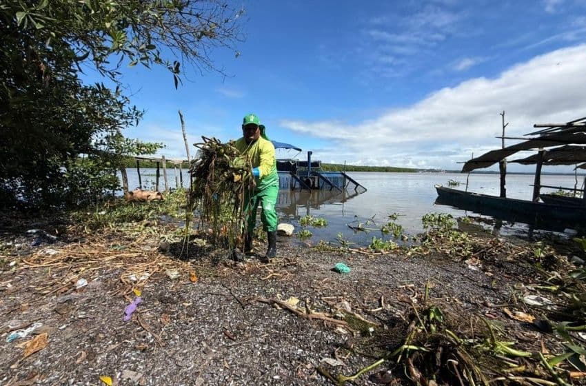Alurb inicia ações para conter avanço das baronesas na Lagoa Mundaú. Foto: Walisson Vieira/Ascom Alurb