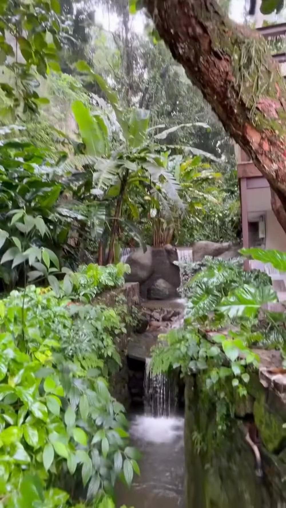 Maitê Proença mostra vida na natureza após vender apartamento de R$ 5 milhões — Foto: Reprodução/Instagram