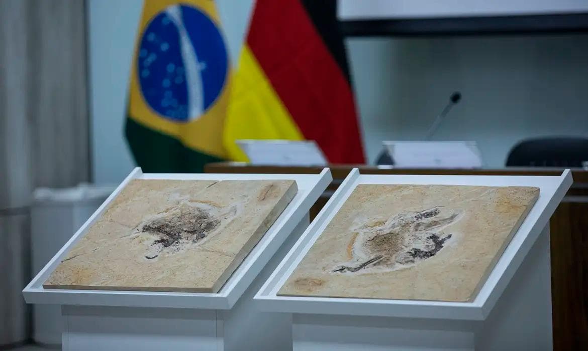 Joédson Alves/Agência Brasil