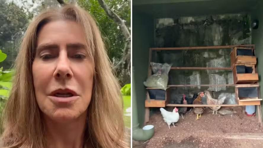 Maitê Proença mostra vida na natureza após vender apartamento de R$ 5 milhões — Foto: Reprodução/Instagram