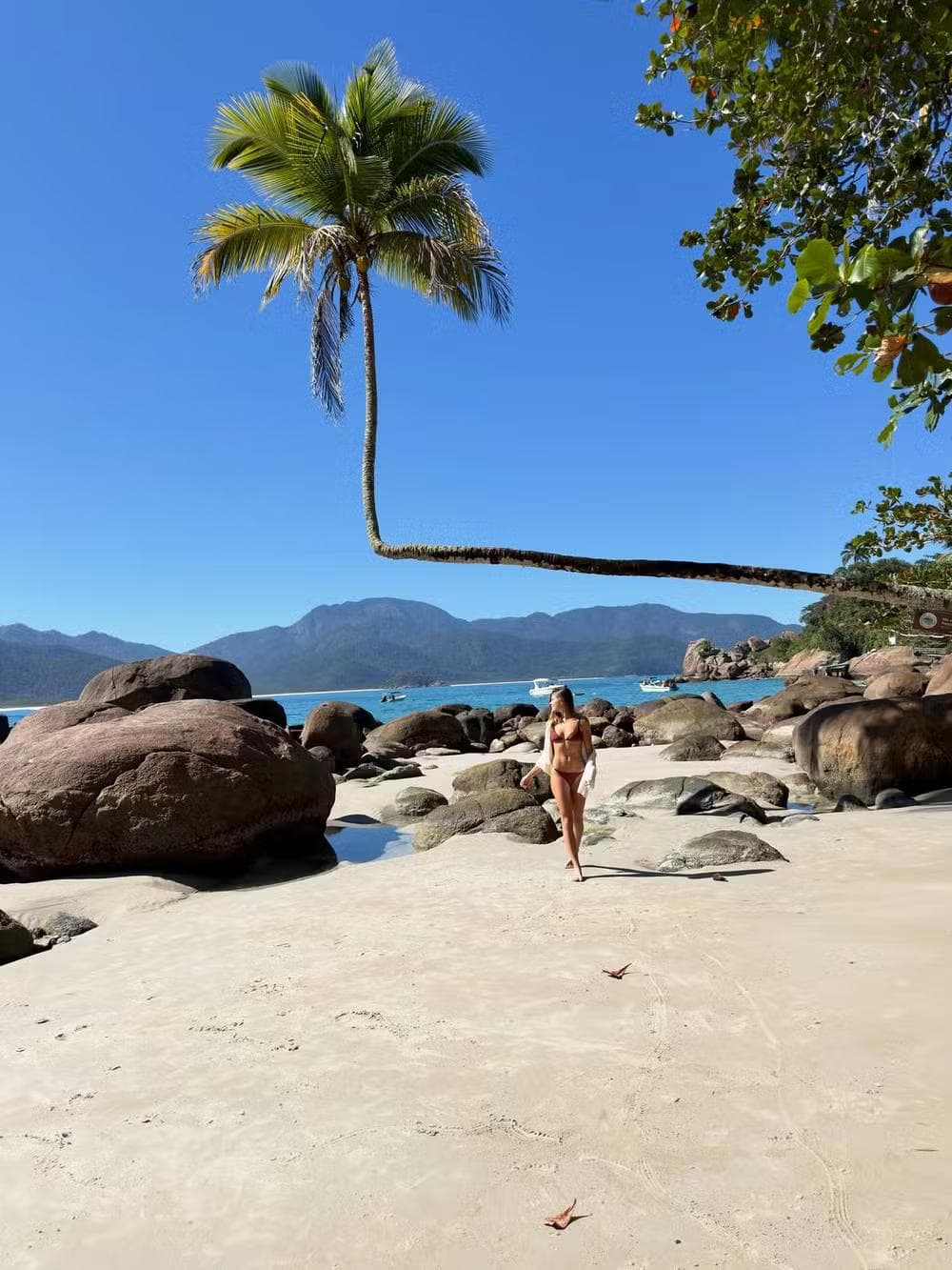 Foto: Reprodução/ Instagram @nikkimeneghel