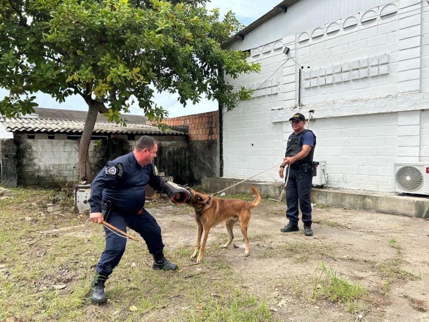 A corporação de Cabo de Santo Agostinho conta com cães atuando na parte repressiva e social. Foto: Ascom Semsc
