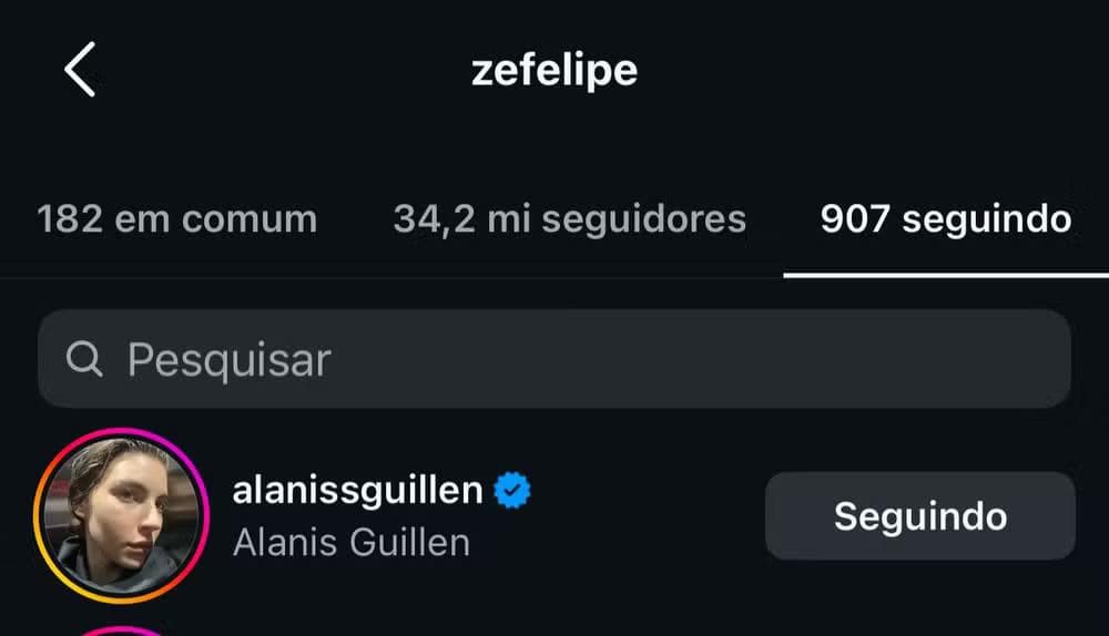 Zé Felipe começa a seguir atriz Alanis Guillen nas redes sociais — Foto: Reprodução/Instagram