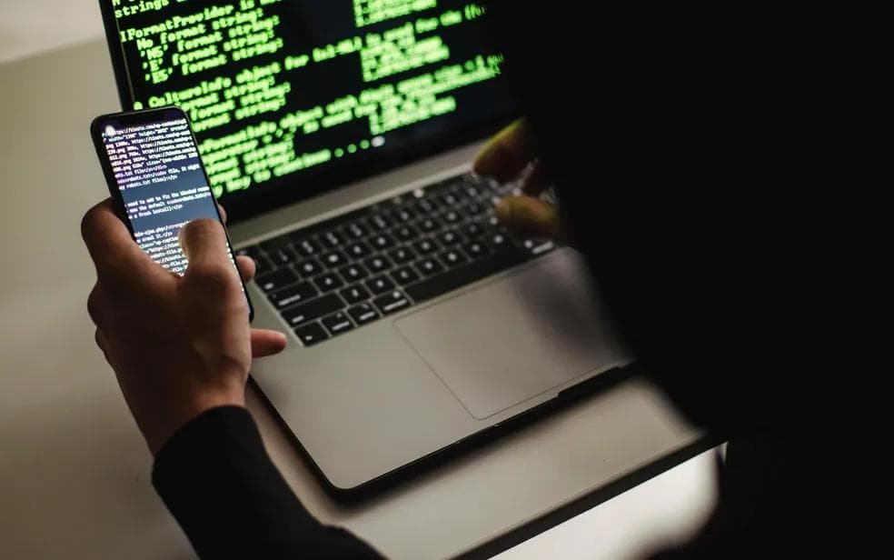 Há oportunidades para programador de sistemas — Foto: Sora Shimazaki/Pexels