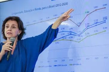 Coordenadora do PNUD, Betina Barbosa explica os dados referentes a 2012-2024 - Fabio Rodrigues-Pozzebom/ Agênc