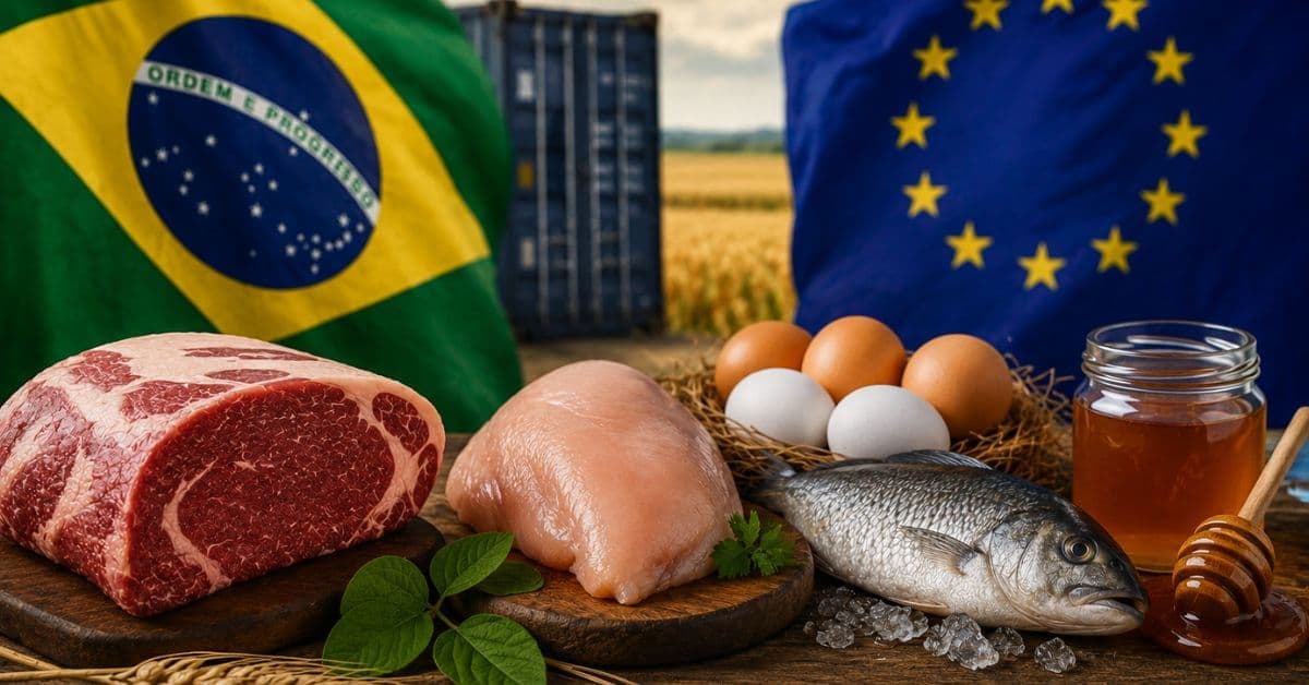 Reprodução Internet