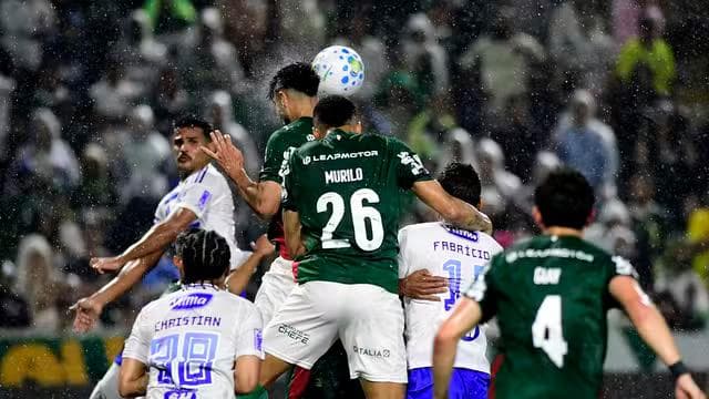 Palmeiras x Cruzeiro (Foto: Marcos Ribolli)