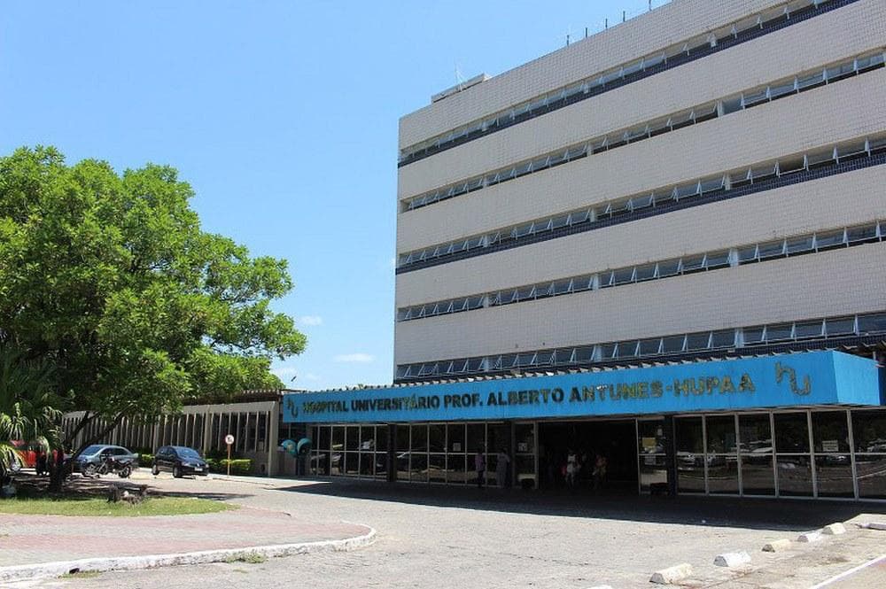 Assessoria