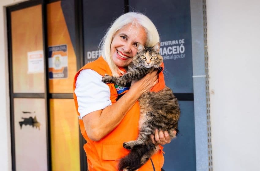 Edivane, recepcionista do órgão, cuida dos gatinhos todos os dias, alimenta e dá muito carinho. Foto: Secom Maceió